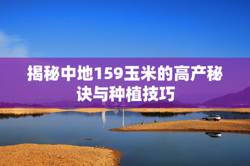 揭秘中地159玉米的高产秘诀与种植技巧