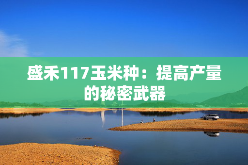 盛禾117玉米种：提高产量的秘密武器