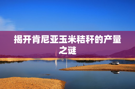 揭开肯尼亚玉米秸秆的产量之谜