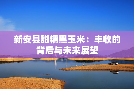 新安县甜糯黑玉米：丰收的背后与未来展望