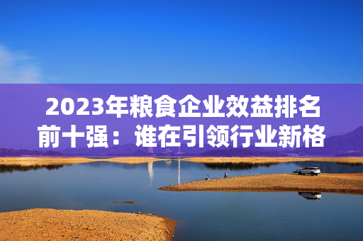 2023年粮食企业效益排名前十强：谁在引领行业新格局？