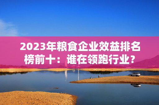 2023年粮食企业效益排名榜前十：谁在领跑行业？