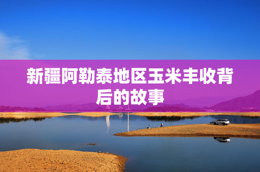 新疆阿勒泰地区玉米丰收背后的故事