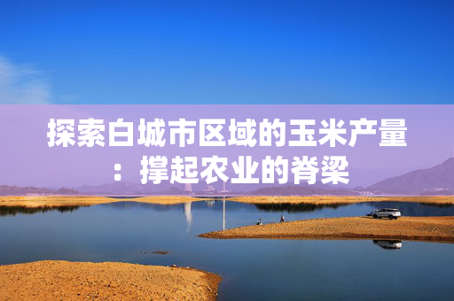 探索白城市区域的玉米产量：撑起农业的脊梁