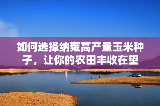 如何选择纳雍高产量玉米种子，让你的农田丰收在望