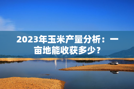 2023年玉米产量分析：一亩地能收获多少？
