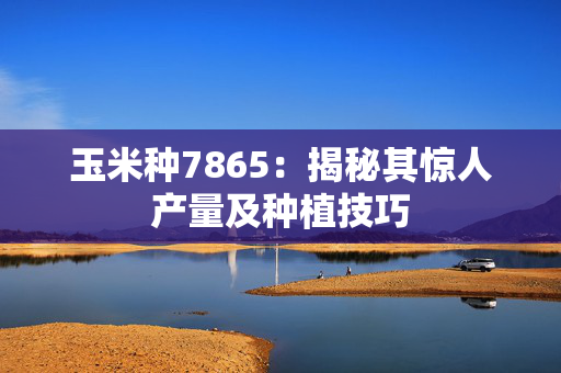 玉米种7865：揭秘其惊人产量及种植技巧