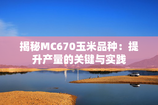 揭秘MC670玉米品种：提升产量的关键与实践