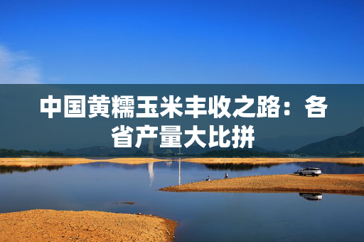 中国黄糯玉米丰收之路：各省产量大比拼
