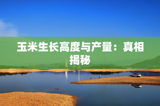玉米生长高度与产量：真相揭秘