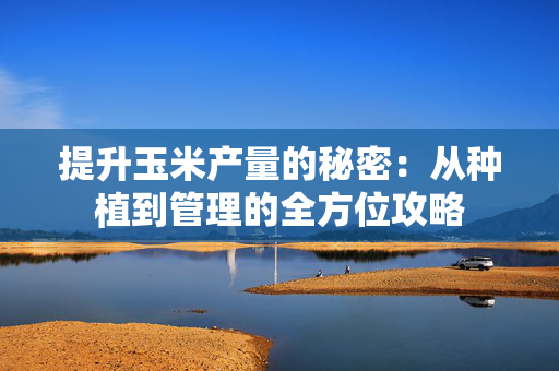 提升玉米产量的秘密：从种植到管理的全方位攻略