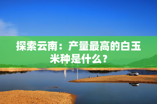 探索云南：产量最高的白玉米种是什么？