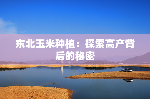 东北玉米种植：探索高产背后的秘密