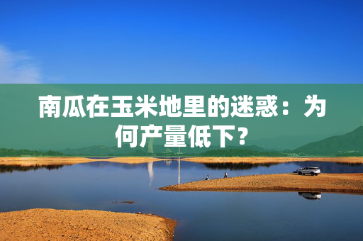 南瓜在玉米地里的迷惑：为何产量低下？