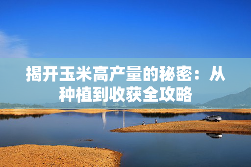 揭开玉米高产量的秘密：从种植到收获全攻略