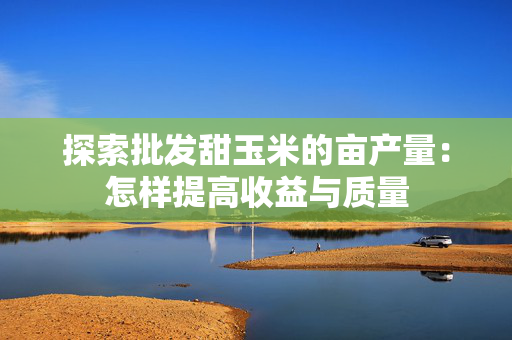 探索批发甜玉米的亩产量：怎样提高收益与质量