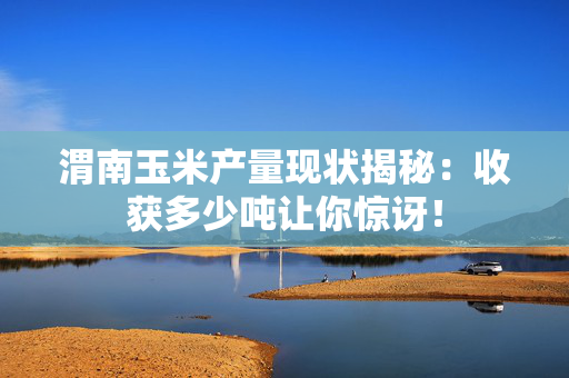 渭南玉米产量现状揭秘：收获多少吨让你惊讶！