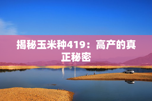 揭秘玉米种419：高产的真正秘密