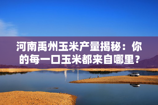 河南禹州玉米产量揭秘：你的每一口玉米都来自哪里？