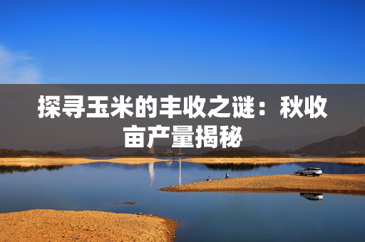 探寻玉米的丰收之谜：秋收亩产量揭秘