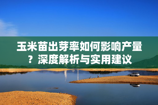 玉米苗出芽率如何影响产量？深度解析与实用建议