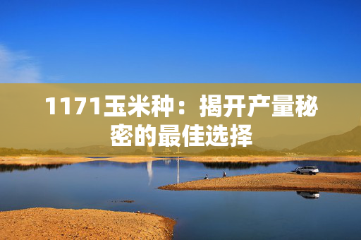 1171玉米种：揭开产量秘密的最佳选择