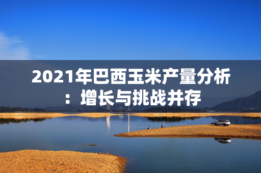 2021年巴西玉米产量分析：增长与挑战并存