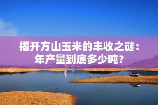 揭开方山玉米的丰收之谜：年产量到底多少吨？