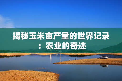 揭秘玉米亩产量的世界记录：农业的奇迹