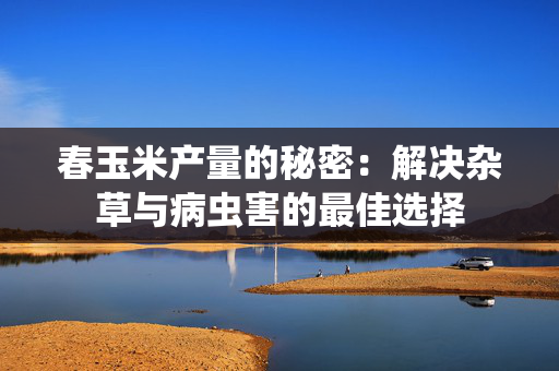 春玉米产量的秘密：解决杂草与病虫害的最佳选择