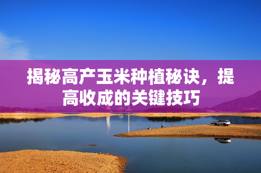 揭秘高产玉米种植秘诀，提高收成的关键技巧