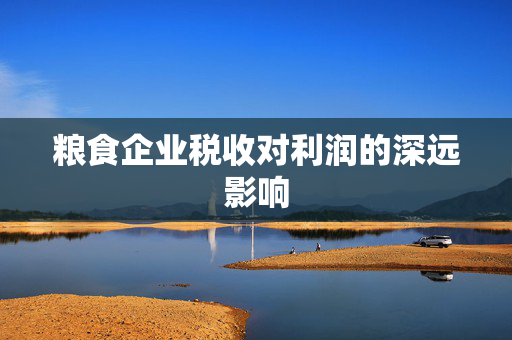 粮食企业税收对利润的深远影响