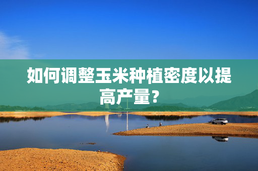 如何调整玉米种植密度以提高产量？
