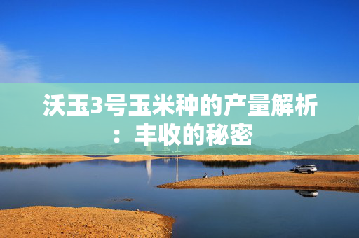 沃玉3号玉米种的产量解析：丰收的秘密