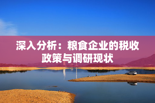 深入分析：粮食企业的税收政策与调研现状