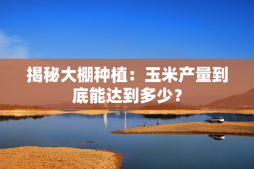 揭秘大棚种植：玉米产量到底能达到多少？