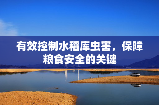 有效控制水稻库虫害，保障粮食安全的关键