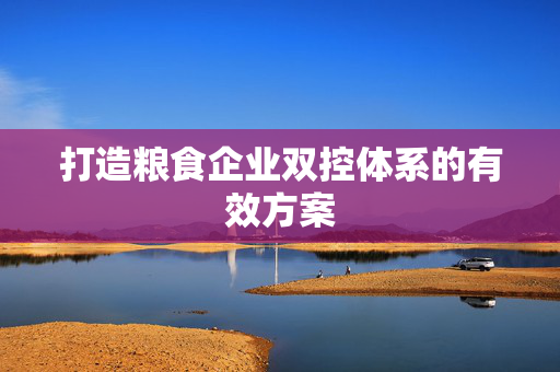 打造粮食企业双控体系的有效方案