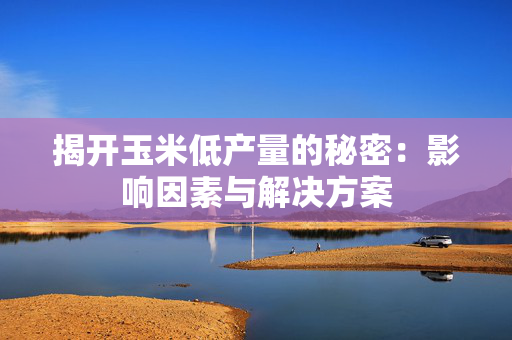 揭开玉米低产量的秘密：影响因素与解决方案