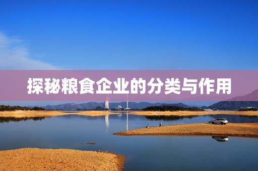 探秘粮食企业的分类与作用