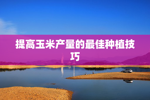 提高玉米产量的最佳种植技巧