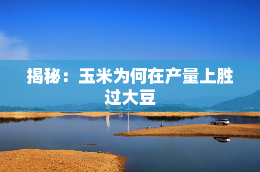 揭秘：玉米为何在产量上胜过大豆