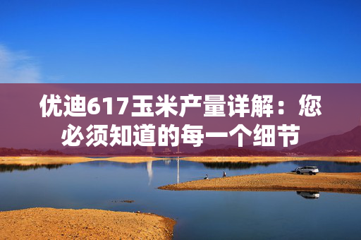 优迪617玉米产量详解：您必须知道的每一个细节
