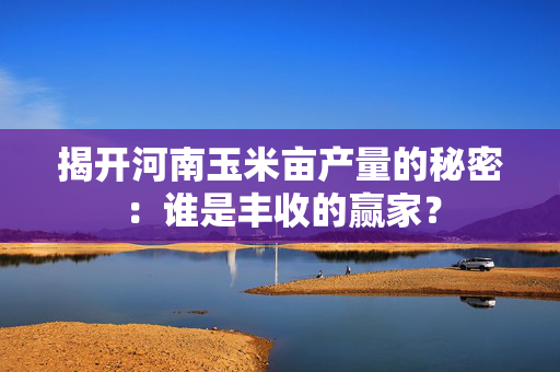 揭开河南玉米亩产量的秘密：谁是丰收的赢家？