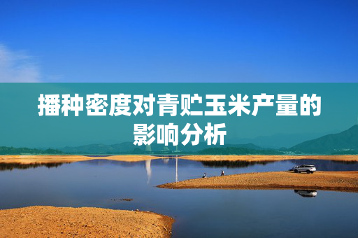 播种密度对青贮玉米产量的影响分析