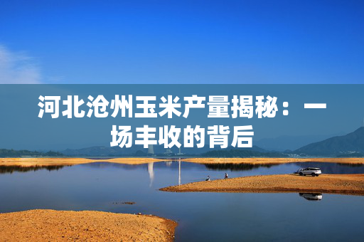 河北沧州玉米产量揭秘：一场丰收的背后