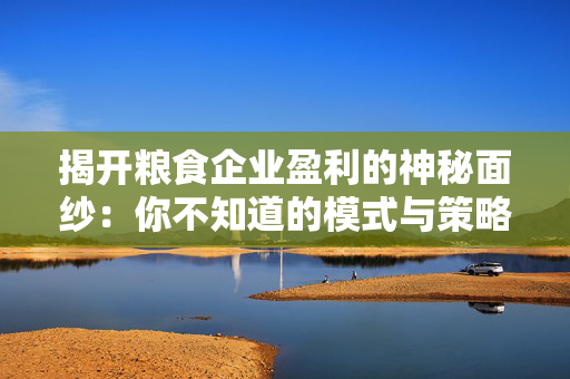 揭开粮食企业盈利的神秘面纱：你不知道的模式与策略