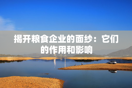 揭开粮食企业的面纱：它们的作用和影响