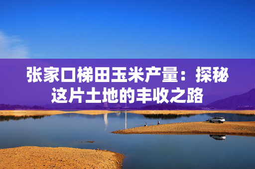 张家口梯田玉米产量：探秘这片土地的丰收之路
