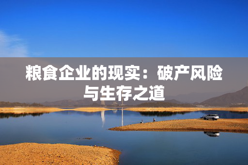 粮食企业的现实：破产风险与生存之道
